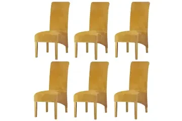 Elástico